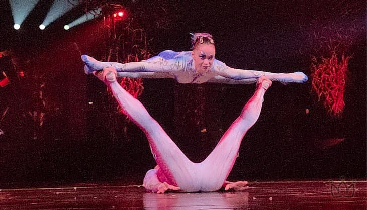 cirque du soleil