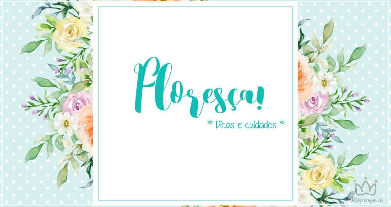 Vamos Florir | Dicas e cuidados