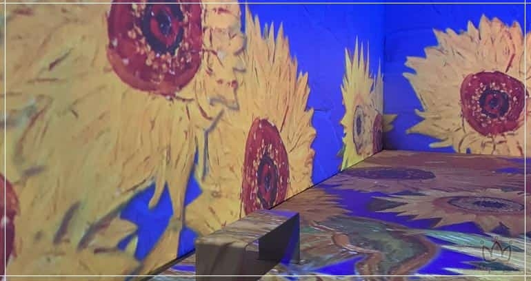 3 Programas Imperdíveis em São Paulo