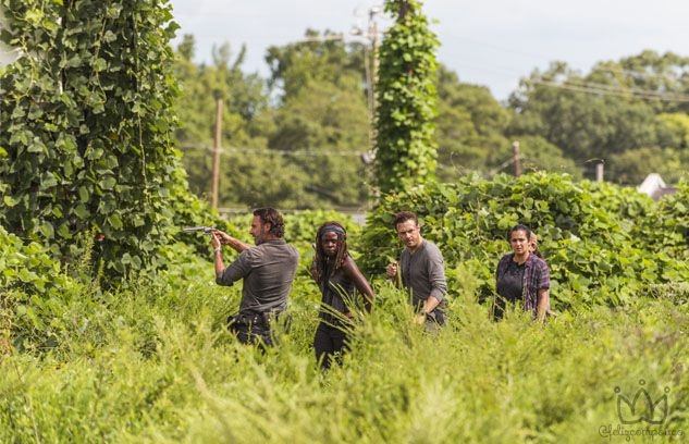 Maratona The Walking Dead