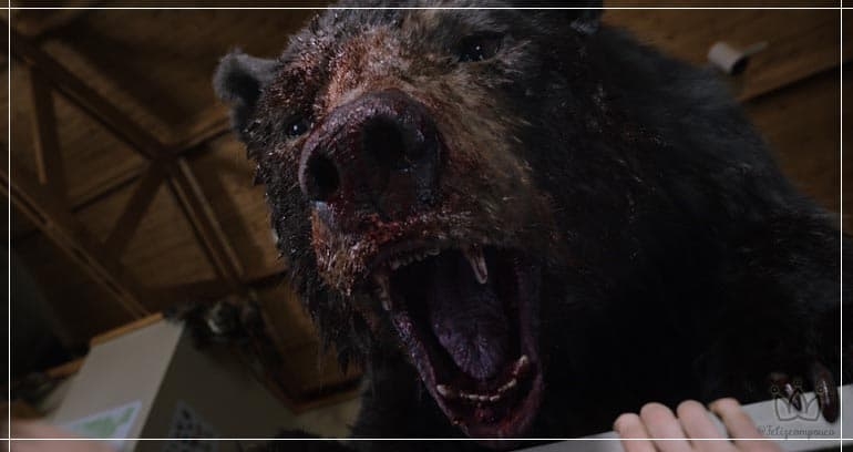 O URSO DO PÓ BRANCO | CHEGA HOJE NOS CINEMAS