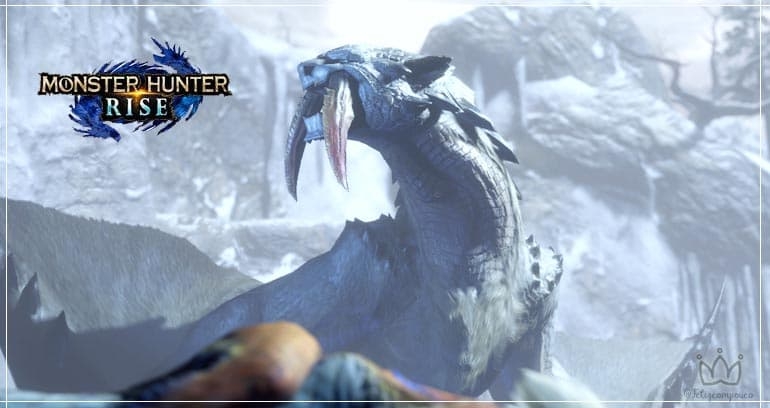 Monster Hunter Rise