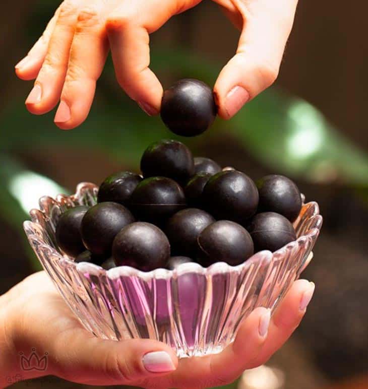Coleção Verão traz sabores de Jabuticaba e Maracujá | Chocolat du Jour
